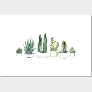 Watercolour cacti & succulents Posters and Art